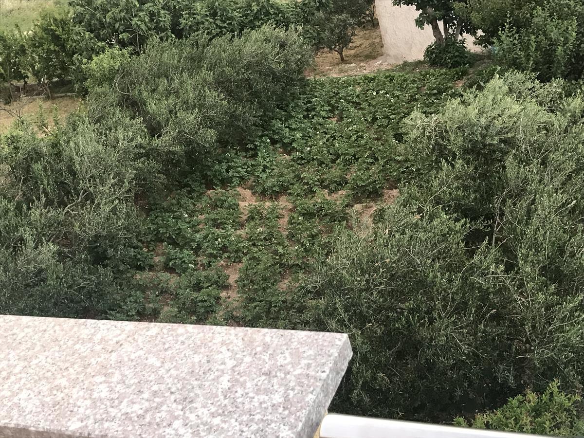 Apartman Mig Solin Exterior photo